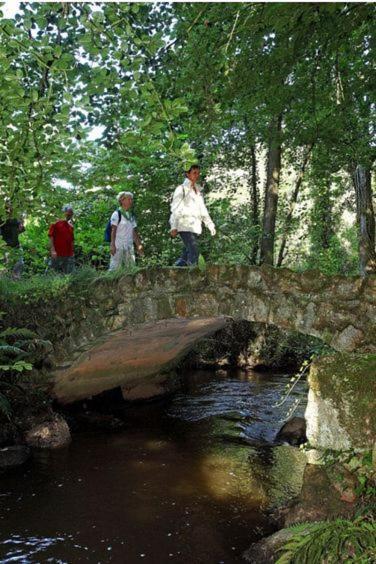 Gite La Loussaudrie Pontmain Экстерьер фото